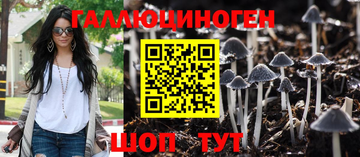 Псилоцибиновые грибы Psilocybe Чайковский
