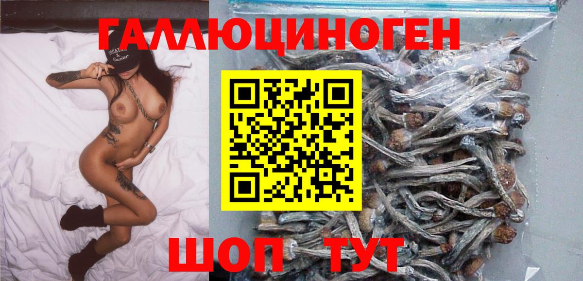 Чайковский  Псилоцибиновые грибы Psilocybe  Вход с VPN 